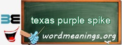 WordMeaning blackboard for texas purple spike